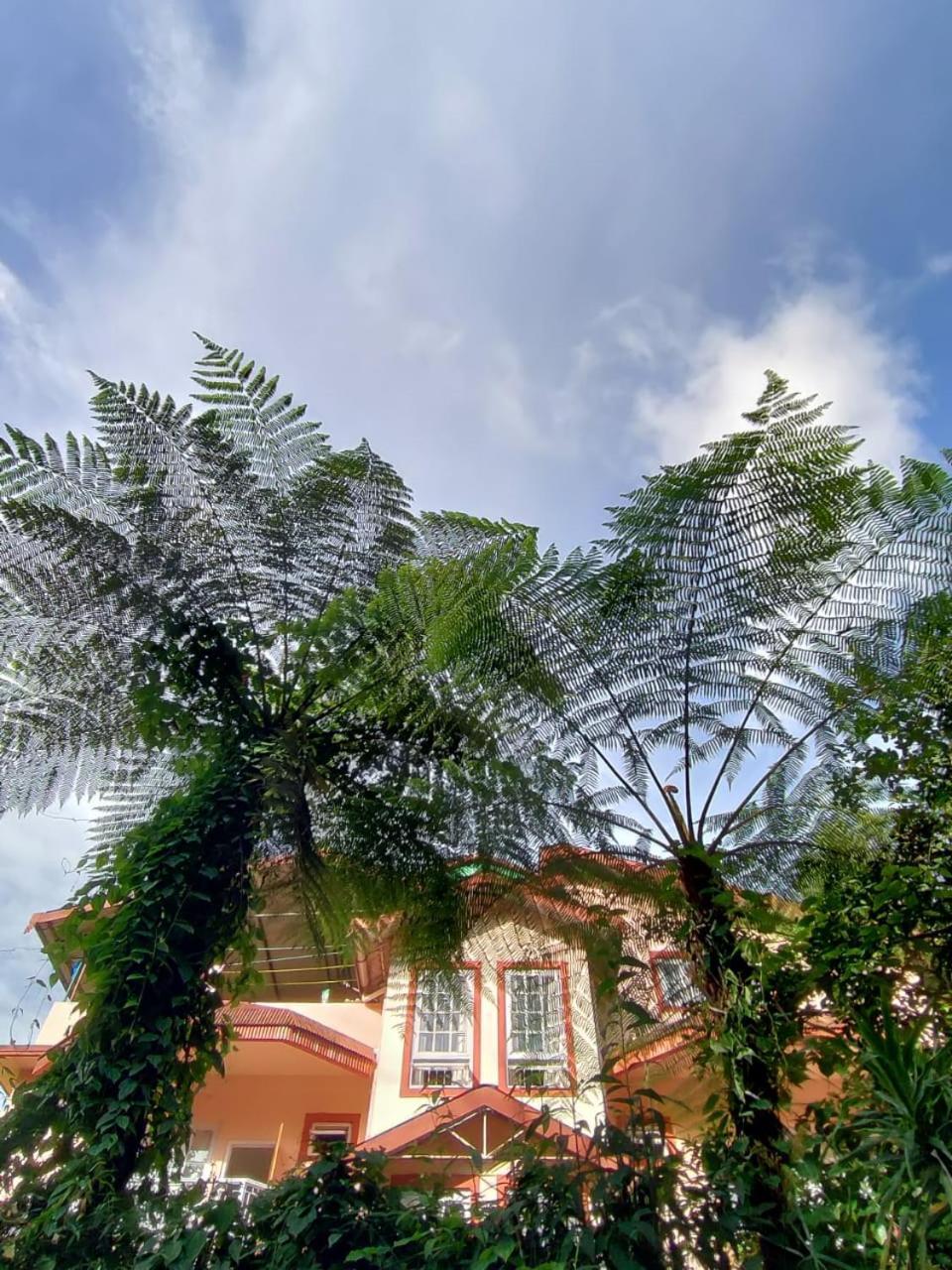 Ifseen Villa 佩林 外观 照片